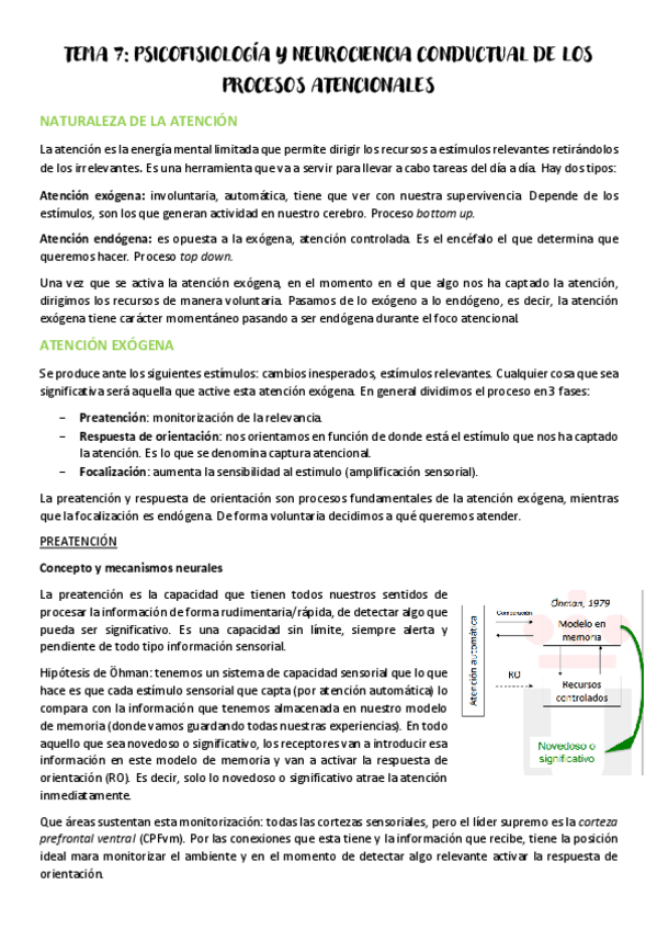 Miniatura del documento Tema-7-psicofisiologia-y-neurociencia.pdf
