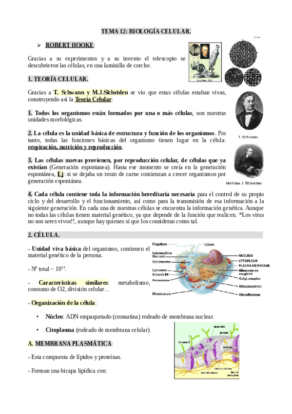Miniatura del documento Tema-12.pdf