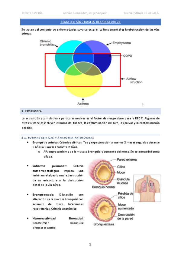 Miniatura del documento Tema-29-Sindromes-respiratorios.pdf