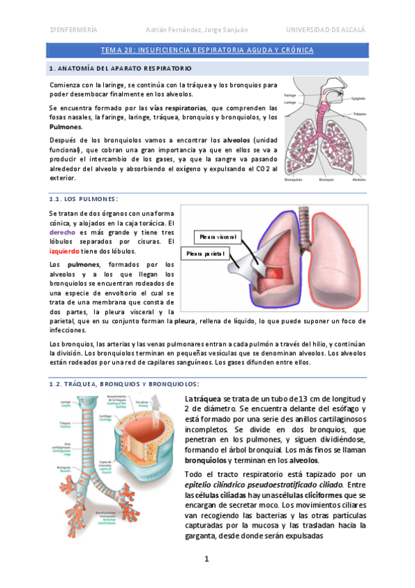 Miniatura del documento Tema-28-Insuficiencia-respiratoria.pdf