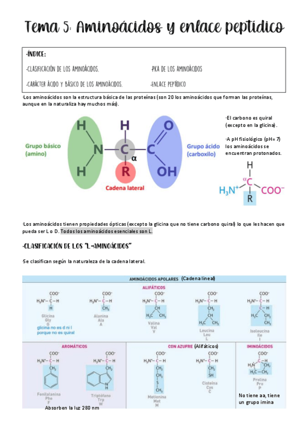 Miniatura del documento tema-5-bioquimica.pdf