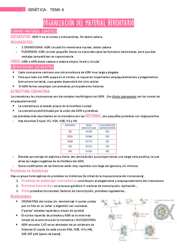 Miniatura del documento Tema-6.pdf