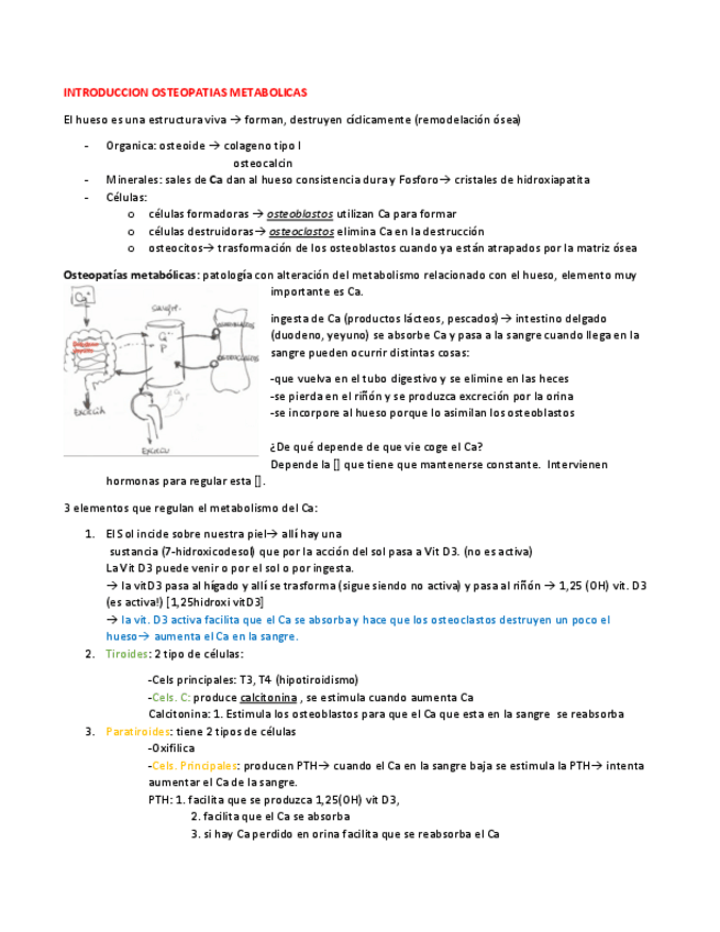 Miniatura del documento INTRODUCCION-OSTEOPATIAS-METABOLICAS.pdf