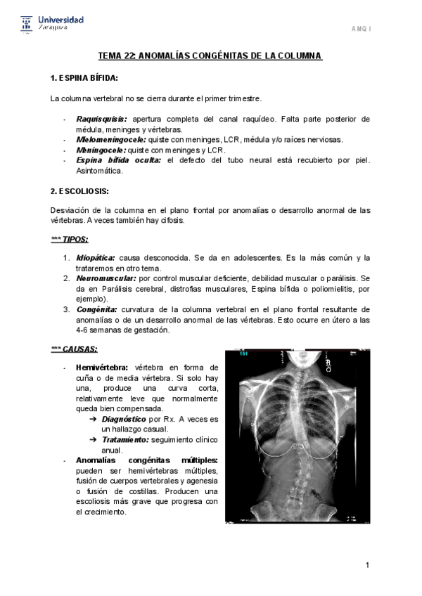 Miniatura del documento T.pdf