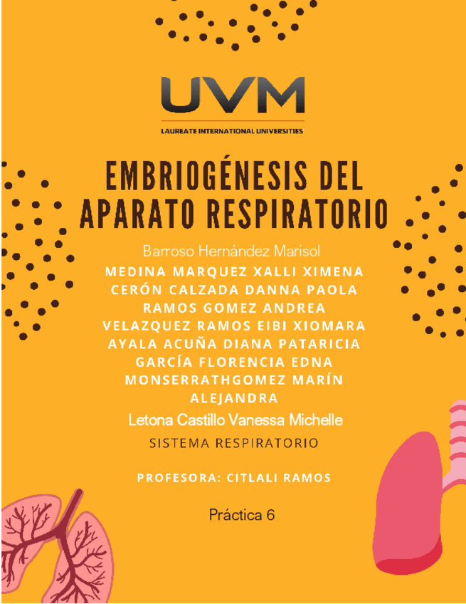 Miniatura del documento P6-Respiratorio.pdf