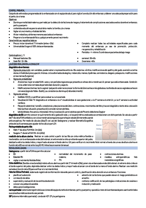 Miniatura del documento CONTROL-PRENATAl.pdf