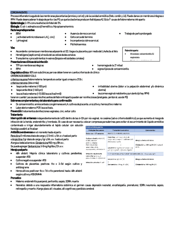 Miniatura del documento corioamnionitis.pdf