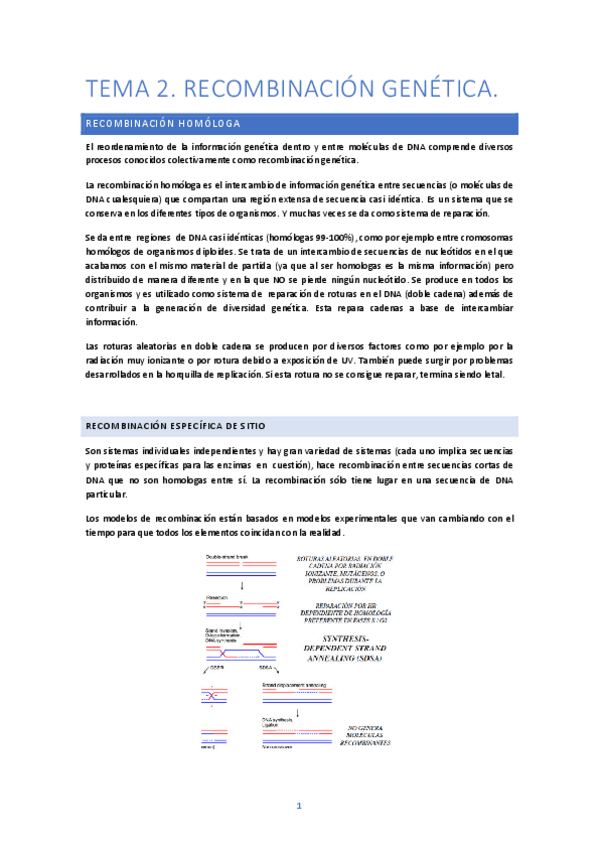 Miniatura del documento TEMA-2.pdf
