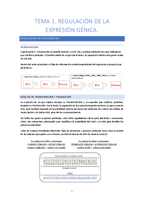 Miniatura del documento TEMA-1.pdf