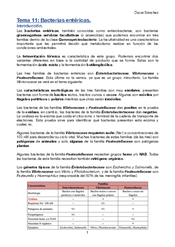 Miniatura del documento Tema-11-Micro-II.pdf