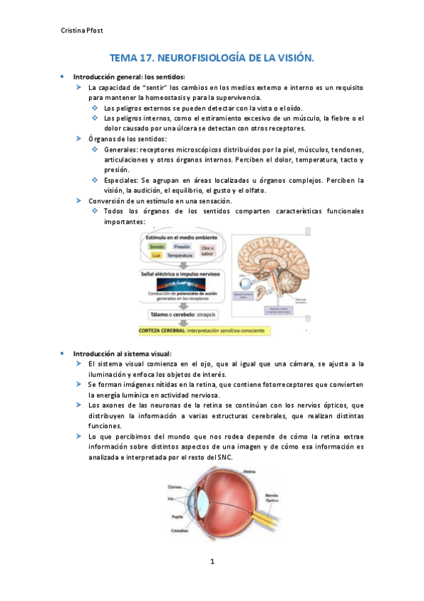 Miniatura del documento TEMA-17.pdf