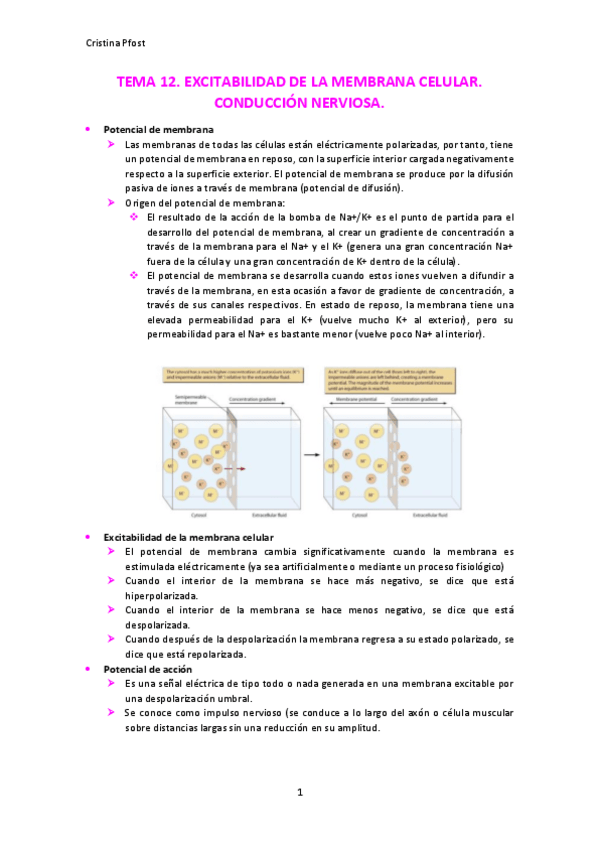 Miniatura del documento TEMA-12-final.pdf
