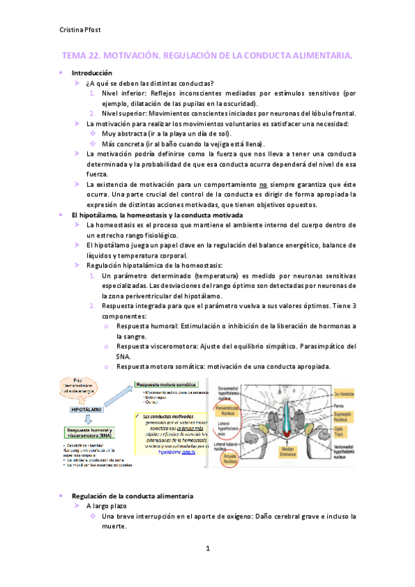 Miniatura del documento TEMA-22.pdf