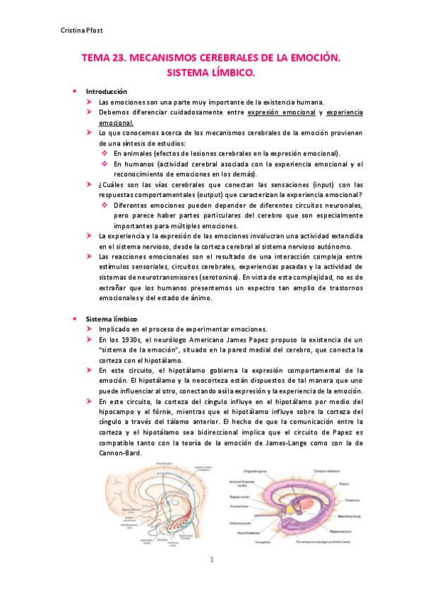 Miniatura del documento TEMA-23.pdf