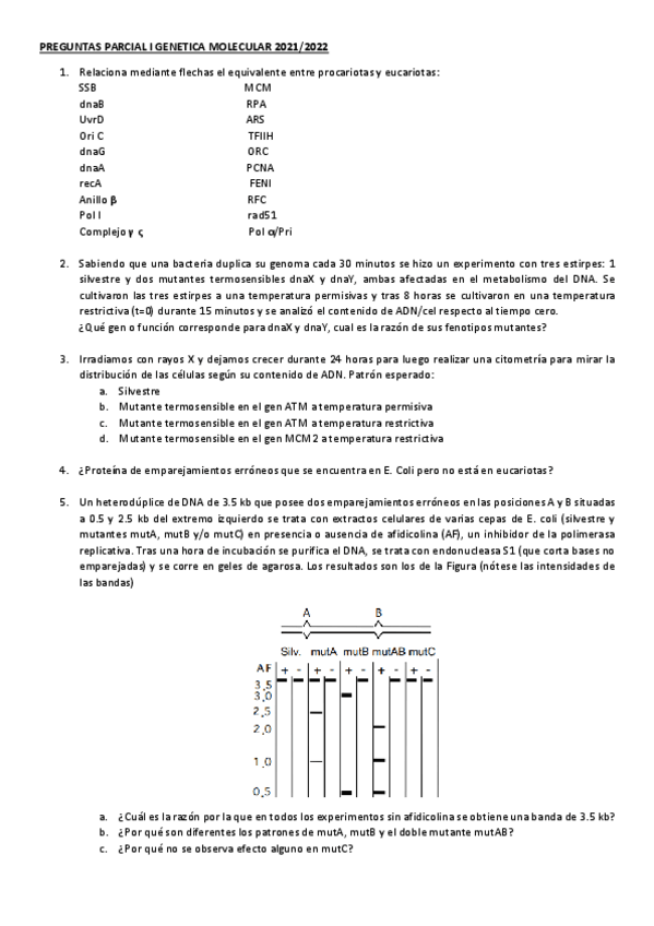 Miniatura del documento Parcial-I-genetica-molecular.pdf