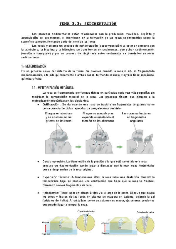Miniatura del documento Tema-3.pdf