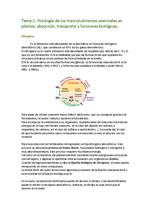 Miniatura del documento FVA-tema-2.pdf