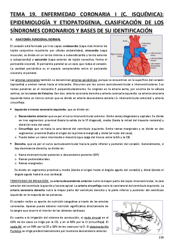 Miniatura del documento BLOQUE-I-CARDIOLOGIA-MEDICA-ENFERMEDAD-CORONARIA.pdf