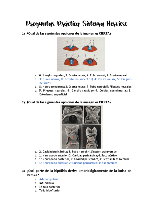 Miniatura del documento Preguntas-Practica-1-Embrio.pdf