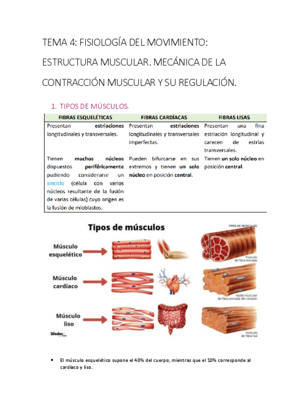 Miniatura del documento t-4-fm-em-mcmr.pdf