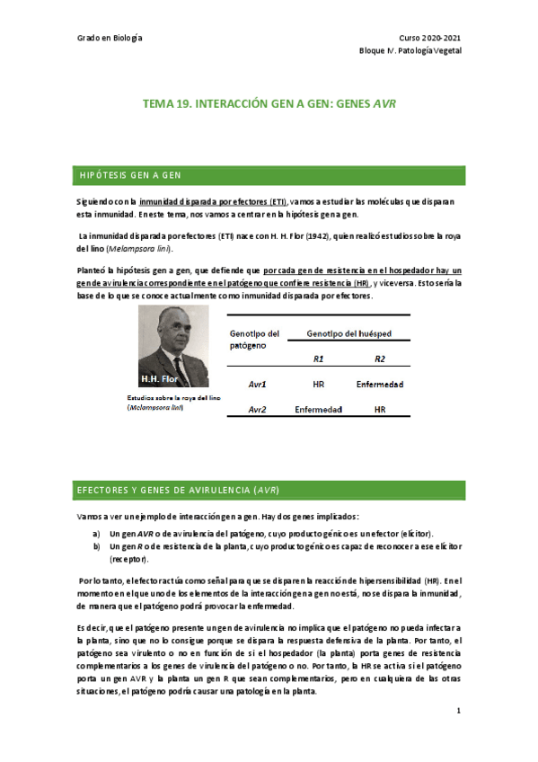 Miniatura del documento TEMA-19.pdf