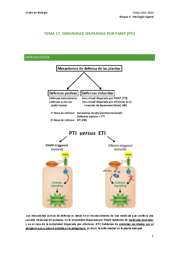 Miniatura del documento TEMA-17.pdf