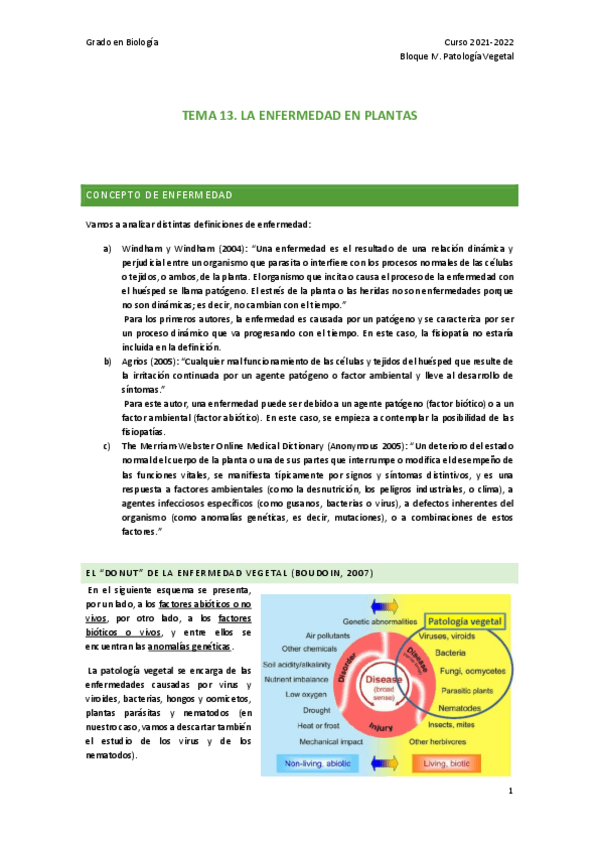 Miniatura del documento TEMA-13.pdf
