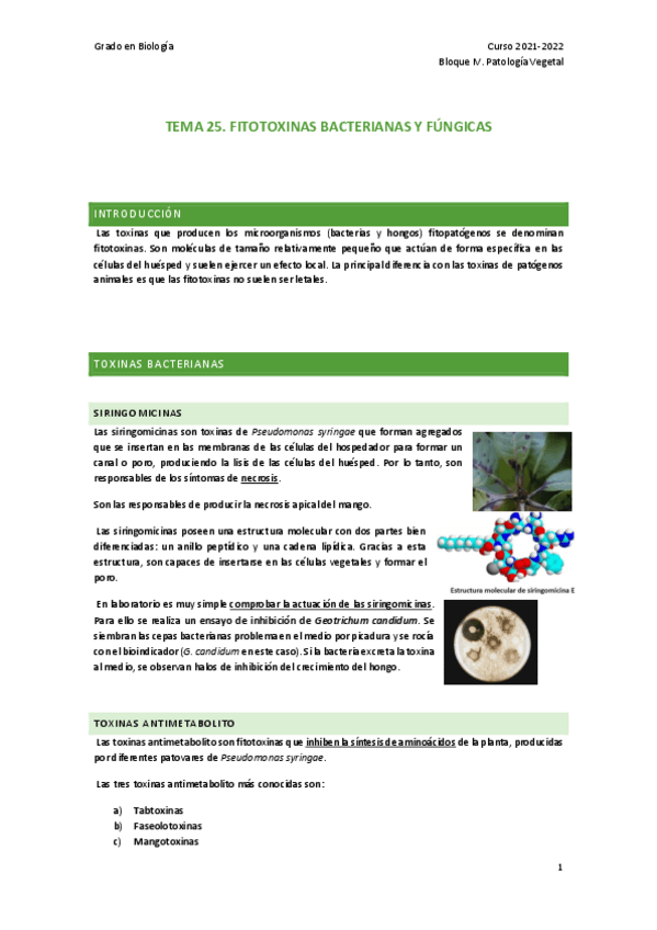 Miniatura del documento TEMA-25.pdf