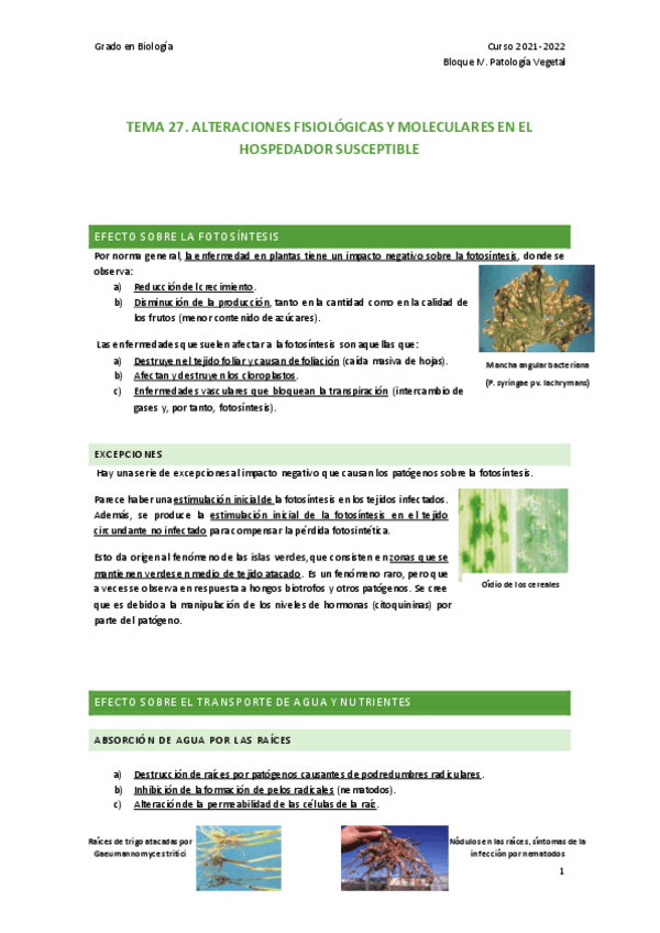 Miniatura del documento TEMA-27.pdf