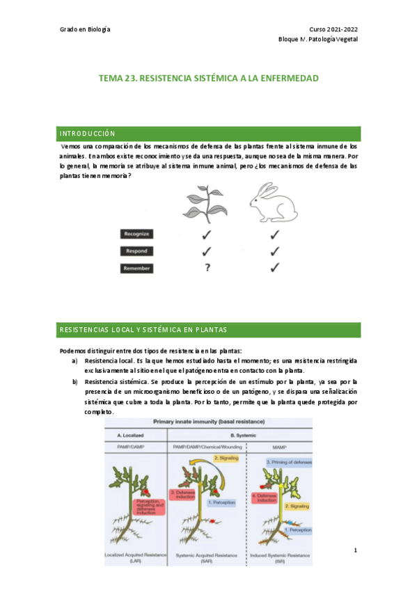 Miniatura del documento TEMA-23.pdf
