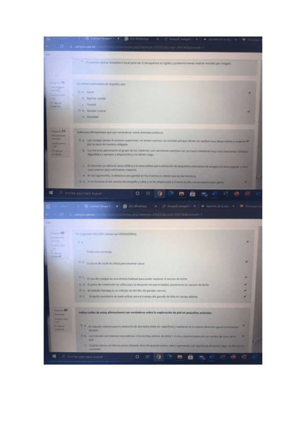 Miniatura del documento EXAMEN-PROPE-RESPONDUS.pdf