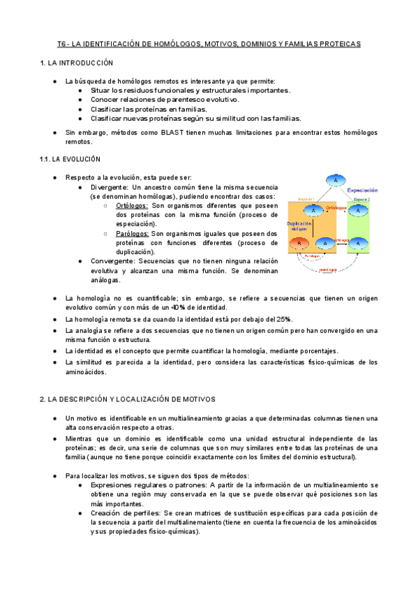 Miniatura del documento T6-BIF-La-Identificacion-de-Homologos.pdf