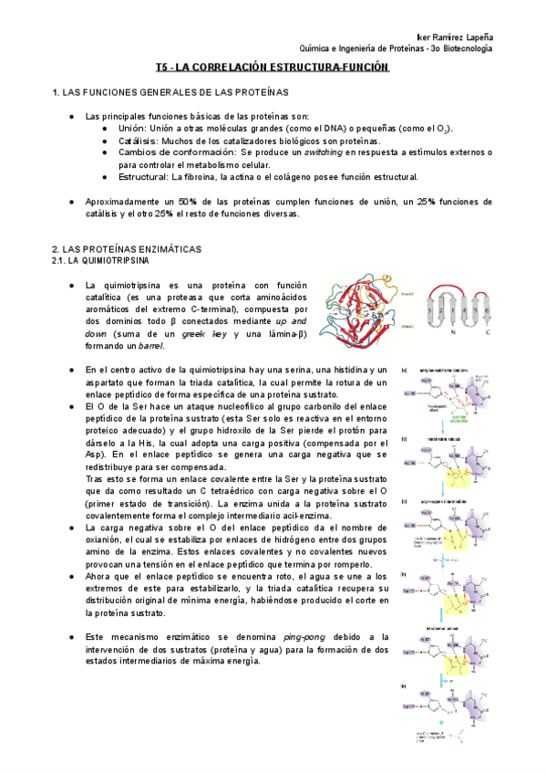 Miniatura del documento T5-QiEP-La-Correlacion-Estructura-Funcion.pdf