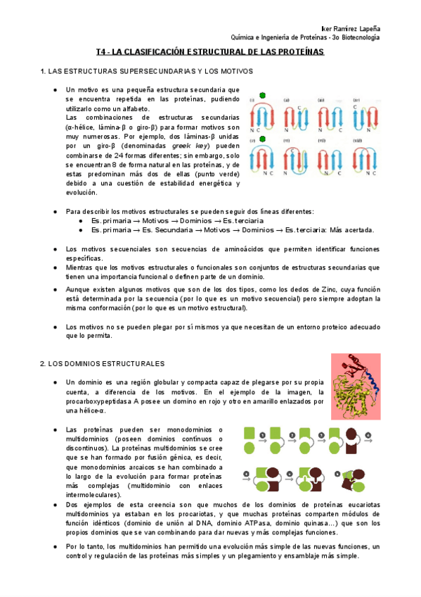 Miniatura del documento T4-QiEP-La-Clasificacion-Estructural-de-las-Proteinas.pdf