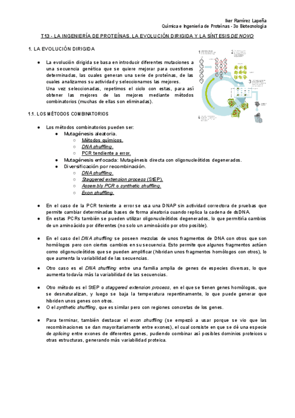 Miniatura del documento T13-QiEP-La-Ingenieria-de-Proteinas.pdf