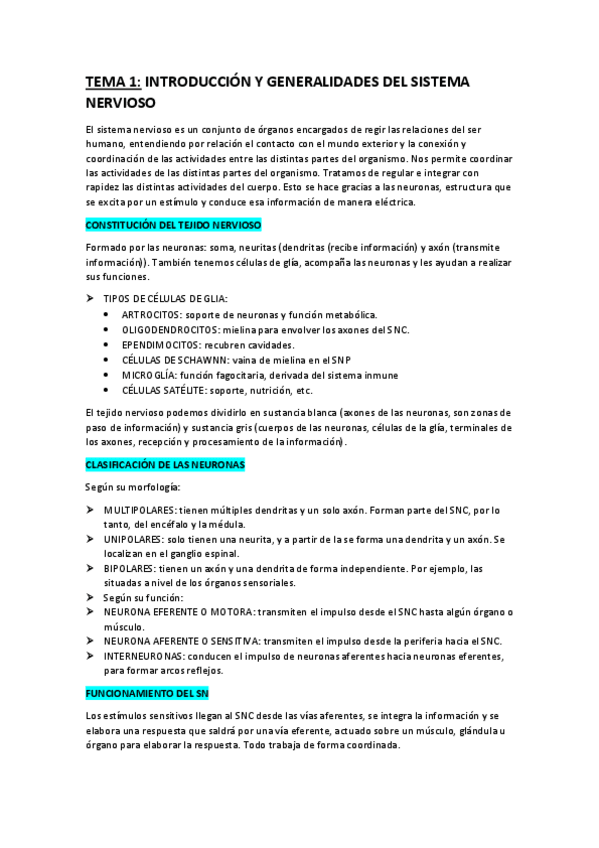 Miniatura del documento TEMA-1-NEUROANATOMIA.pdf