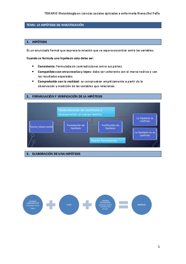 Miniatura del documento TEMA-HIPOTESIS.pdf