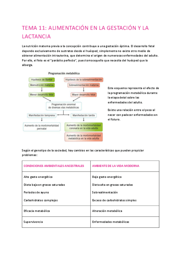 Miniatura del documento TEMA-11-ALIMENTACION.pdf