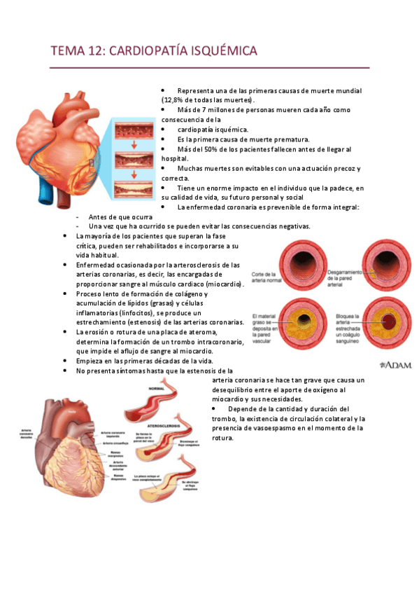 Miniatura del documento TEMA-12.pdf
