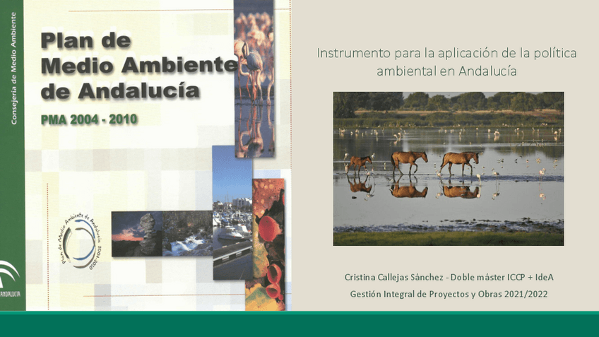 Miniatura del documento PMA2004.pdf