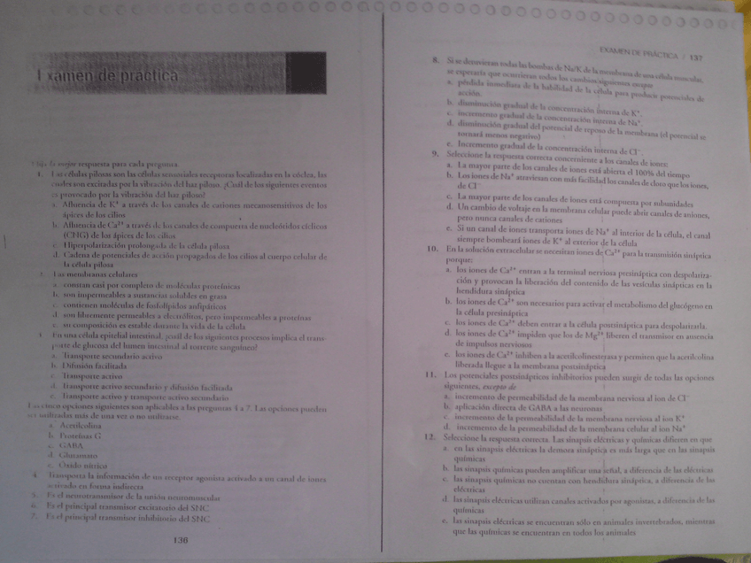 Miniatura del documento DSC00085.JPG