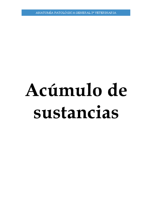 Miniatura del documento Acumulos-de-Sustancias.pdf