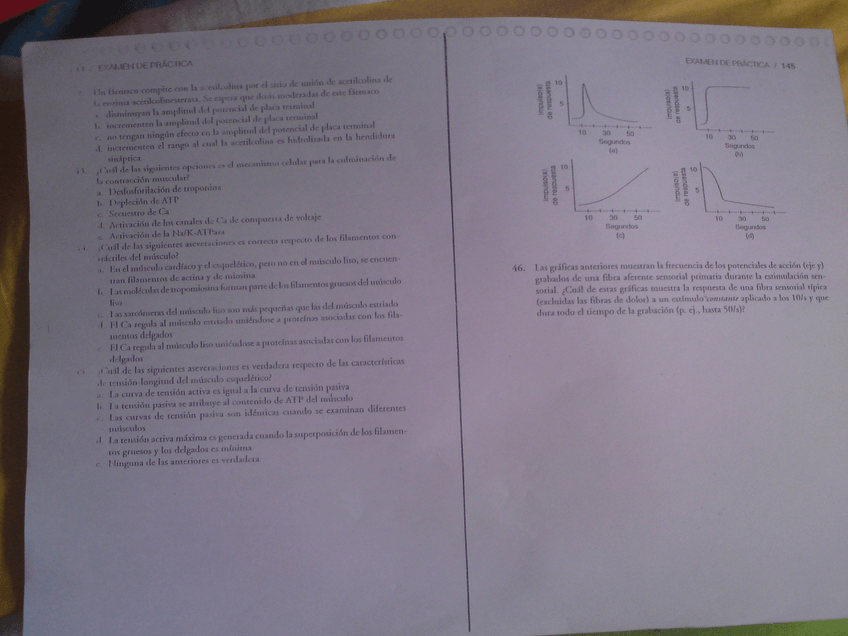 Miniatura del documento DSC00089.JPG