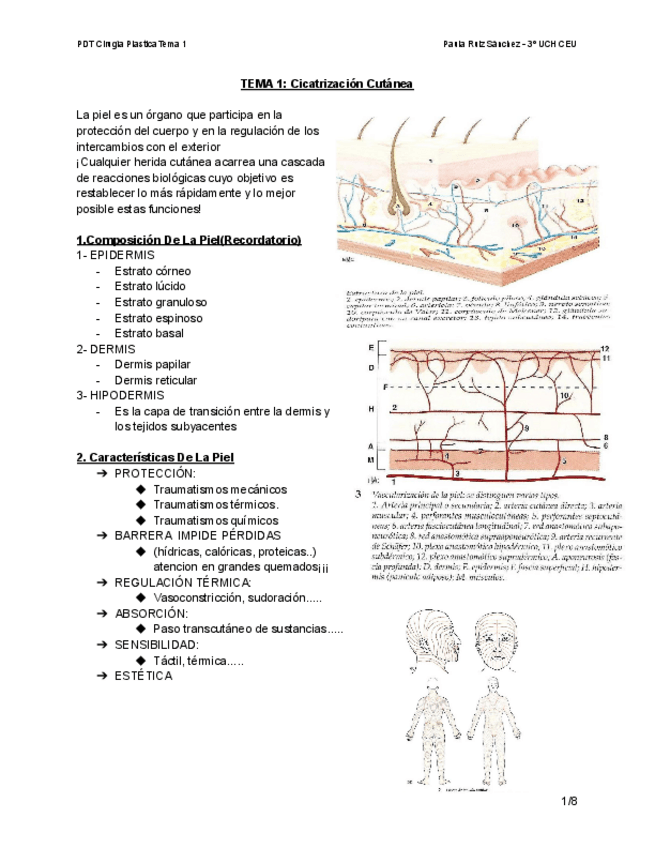 Miniatura del documento TEMA-1-PDT-PLASTICA-CICATRIZACION.pdf