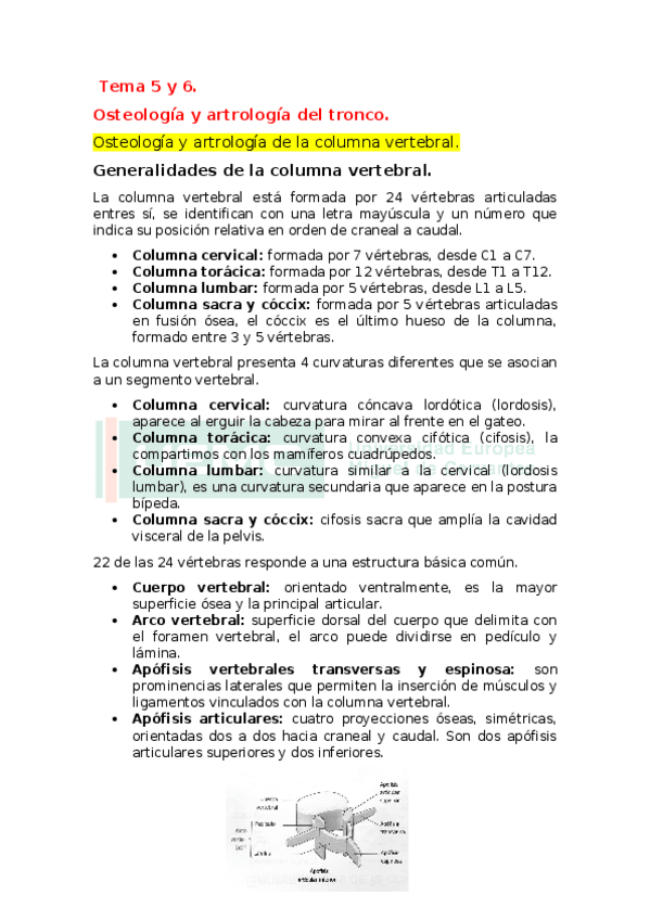 Miniatura del documento Tema-5-y-6.docx