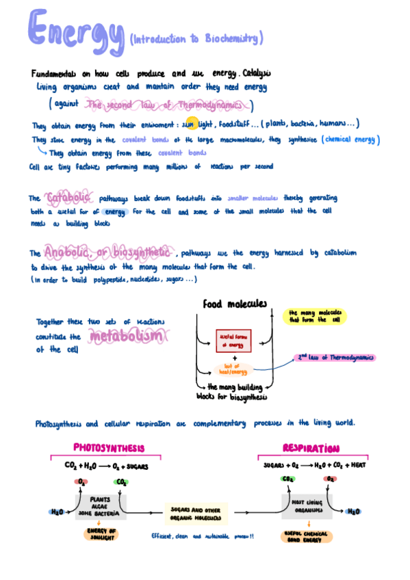 Miniatura del documento Energy.pdf