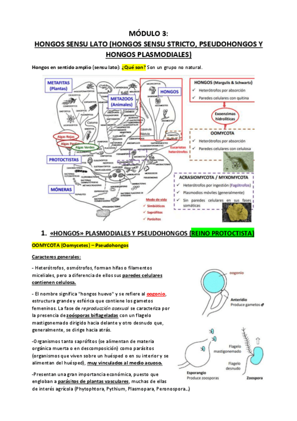 Miniatura del documento MODULO-3.pdf
