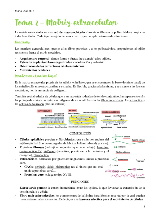Miniatura del documento t2.pdf