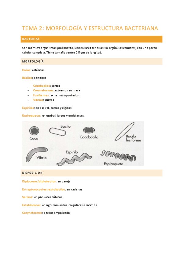Miniatura del documento TEMA-2-MICRO.pdf