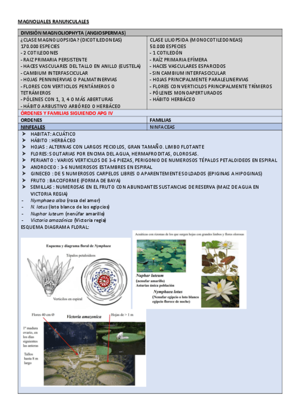 Miniatura del documento PEC-2-APUNTES.pdf